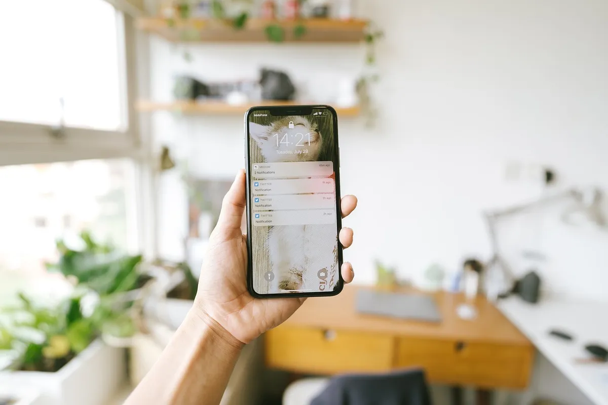 iphone, hand, phone, mobile phone, smart phone, technology, hand holding a phone, notify, notifications, updates, messages, iphone, iphone, phone, phone, phone,