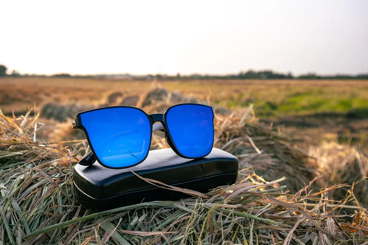 glasses, sunglasses, eyewear, straw field, accessory, fashion, spectacles, specs, eyewear, specs, specs, specs, specs, specs